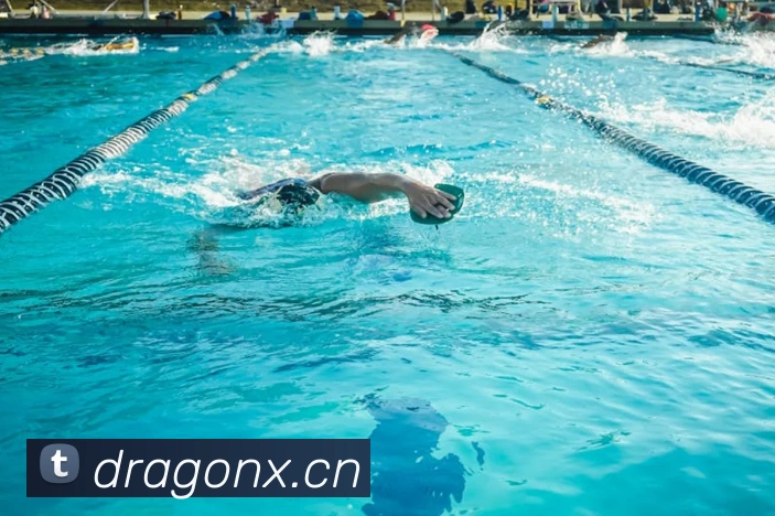 App Interface Preview